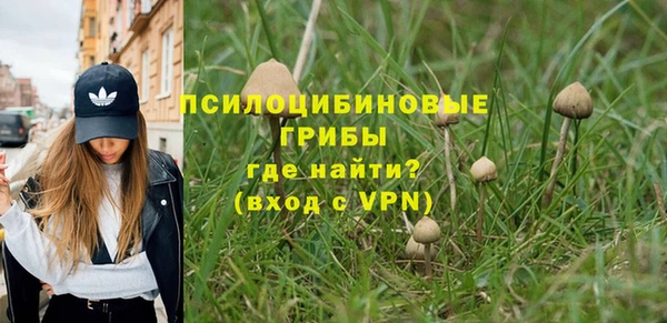 дурь Арсеньев