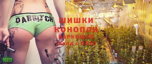 дурь Арсеньев