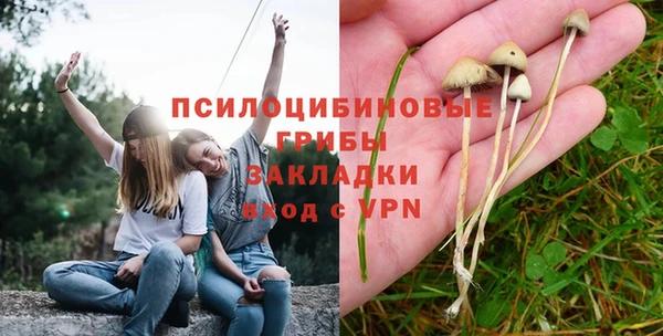 дживик Армянск