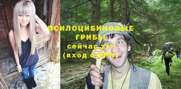 дурь Арсеньев