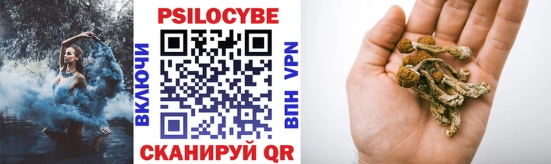 купить наркоту  Арск  Псилоцибиновые грибы мицелий 